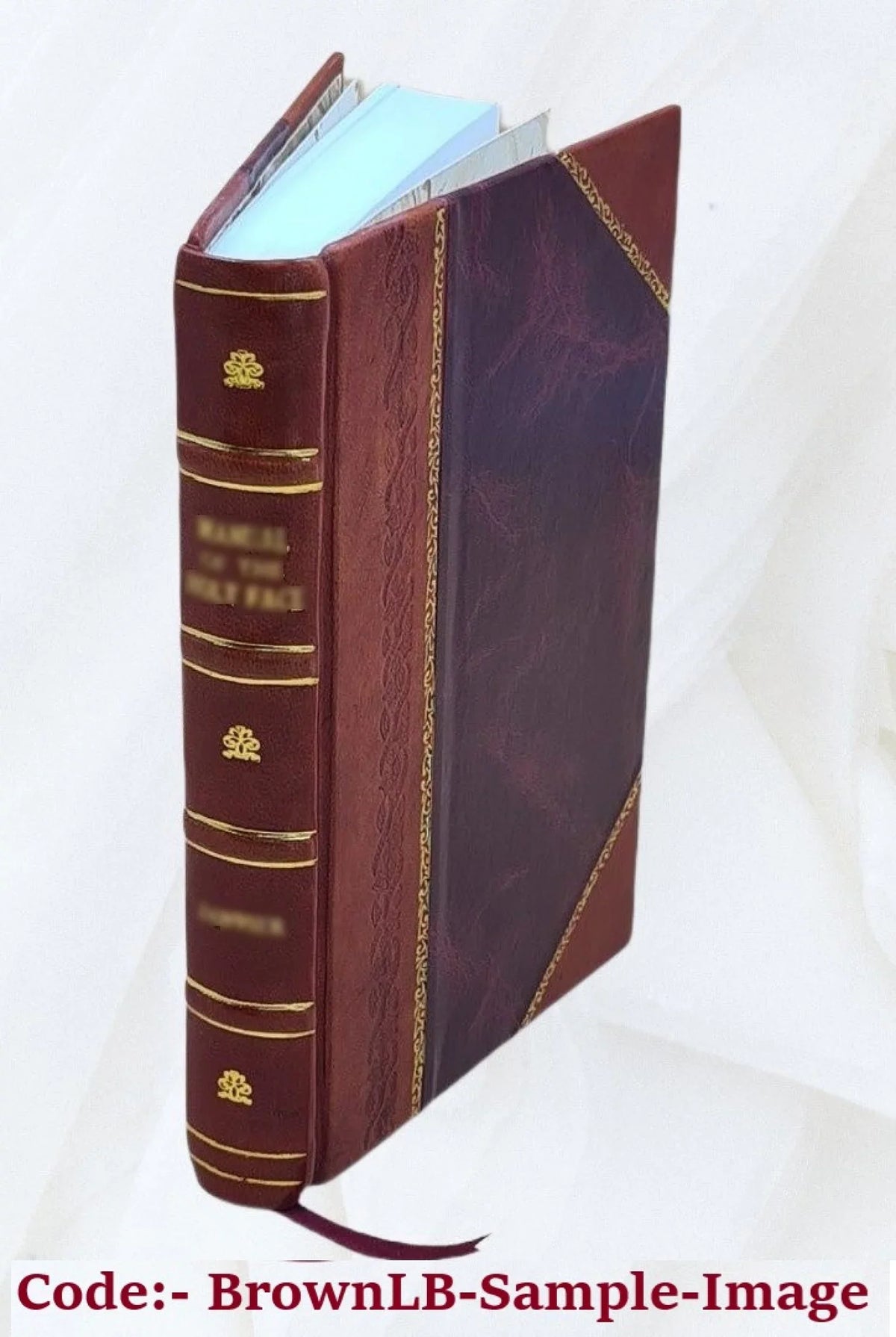 Ruling ideas in early ages and their relation to Old Testament faith : lectures delivered to graduates of the University of Oxford / by J.B. Mozley. 1882 [Leather Bound]