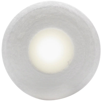 2 Boxes of Replacement for 3M Aqua-Pure SizeSize20 EPE-316L Polypropylene Sizeediment Filter - Universal 10-inch 5-Micron Cartridge for 3M Aqua-Pure Whole House Sizetainless Sizeteel Filter Housing