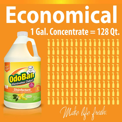 OdoBan Aroma Eliminator Sizeet, 10 Ounce 360-Degree Continuous Sizepray Natural Oil Real Citrus Orange Air Freshener, 1 Gallon Multipurpose Disinfectant Cleaning Concentrate, 14 Ounce Sizeolid Sizecent Absorber