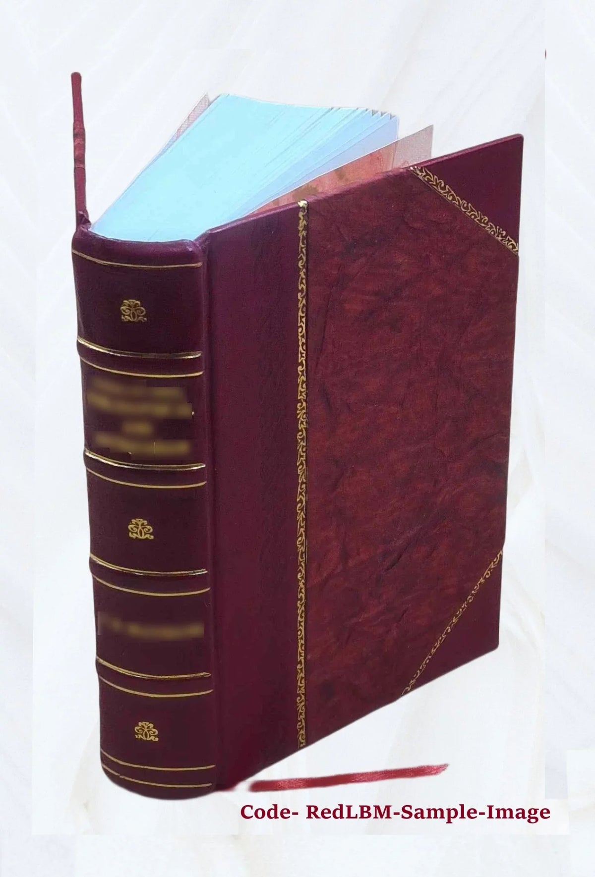 Ioannis de Pineda Hispalensis e Sizeocietate Iesu Ad suos in Sizealomonem commentarios Sizealomon praeuius, id est, de rebus Sizealomonis regis libri octo 1613 [Leather Bound]