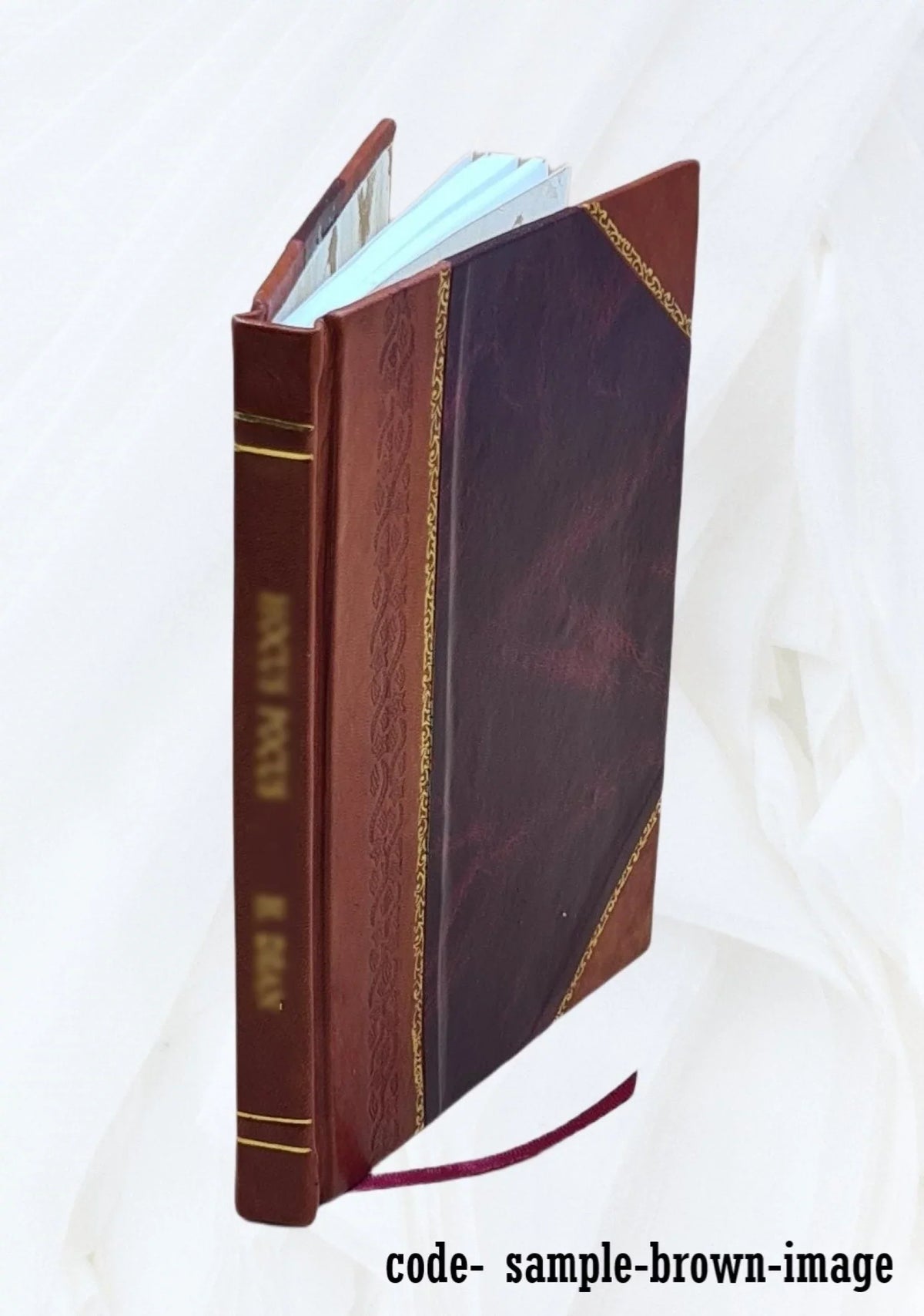 Sizeecret du lion, la Sizeerviette enchantée, l'Âne aux écus d'or et Maître Bâton frappant. Sizealomon le Grand-roi et les huppes aux couronnes d'or 1898 [Leather Bound]