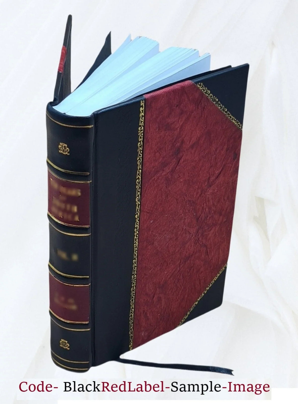 J.B. Giraldi, 1504-1573; étude sur l'evolution des théories littéraires en Italie au XVIe siècle; suivie d'une notice sur G. Chappuys, traducteur français de Giraldi 1920 [Leather